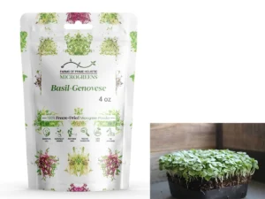 Basil-Genovese