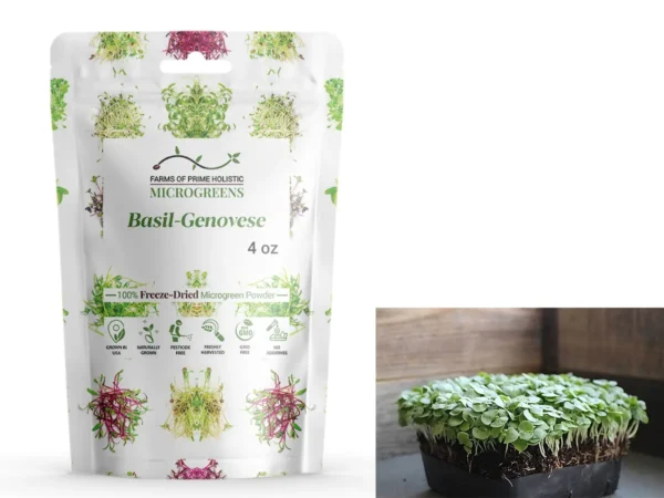 Basil-Genovese