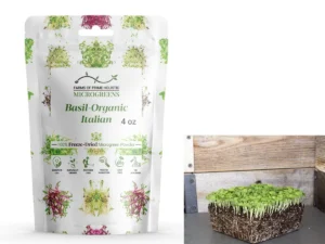 Basil-Organic Italian