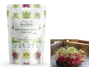 Beet-Organic Detroit Dark Red
