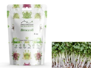 Broccoli