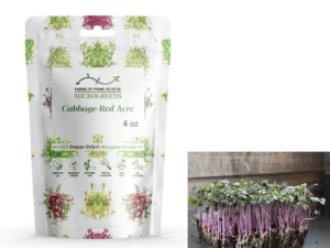 Cabbage-Red Acre