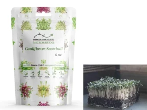 Cauliflower-Snowball