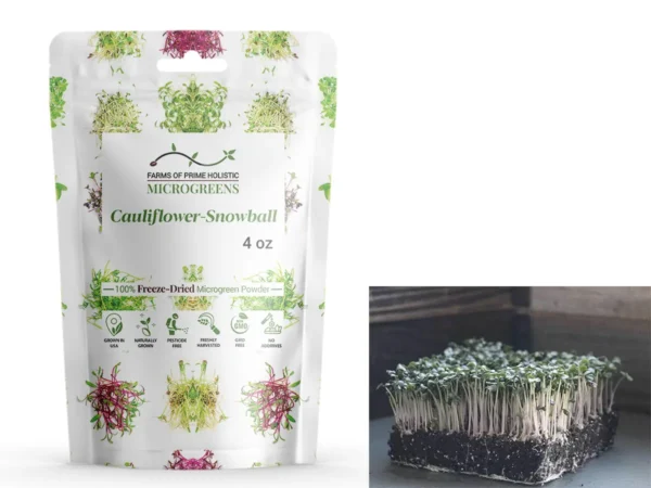 Cauliflower-Snowball