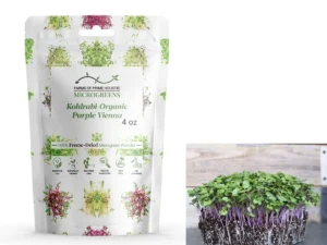 Kohlrabi-Organic Purple Vienna