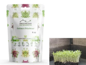 Lettuce-Prizehead