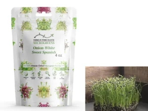 Onion-White Sweet Spanish