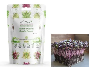Radish-Organic Rambo Purple