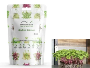 Radish-Trinton