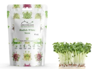 Radish-White Stem